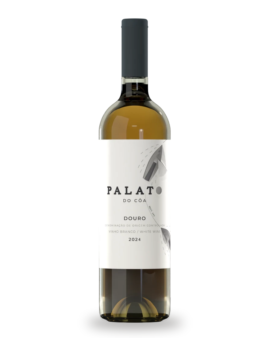 Palato do Côa Branco