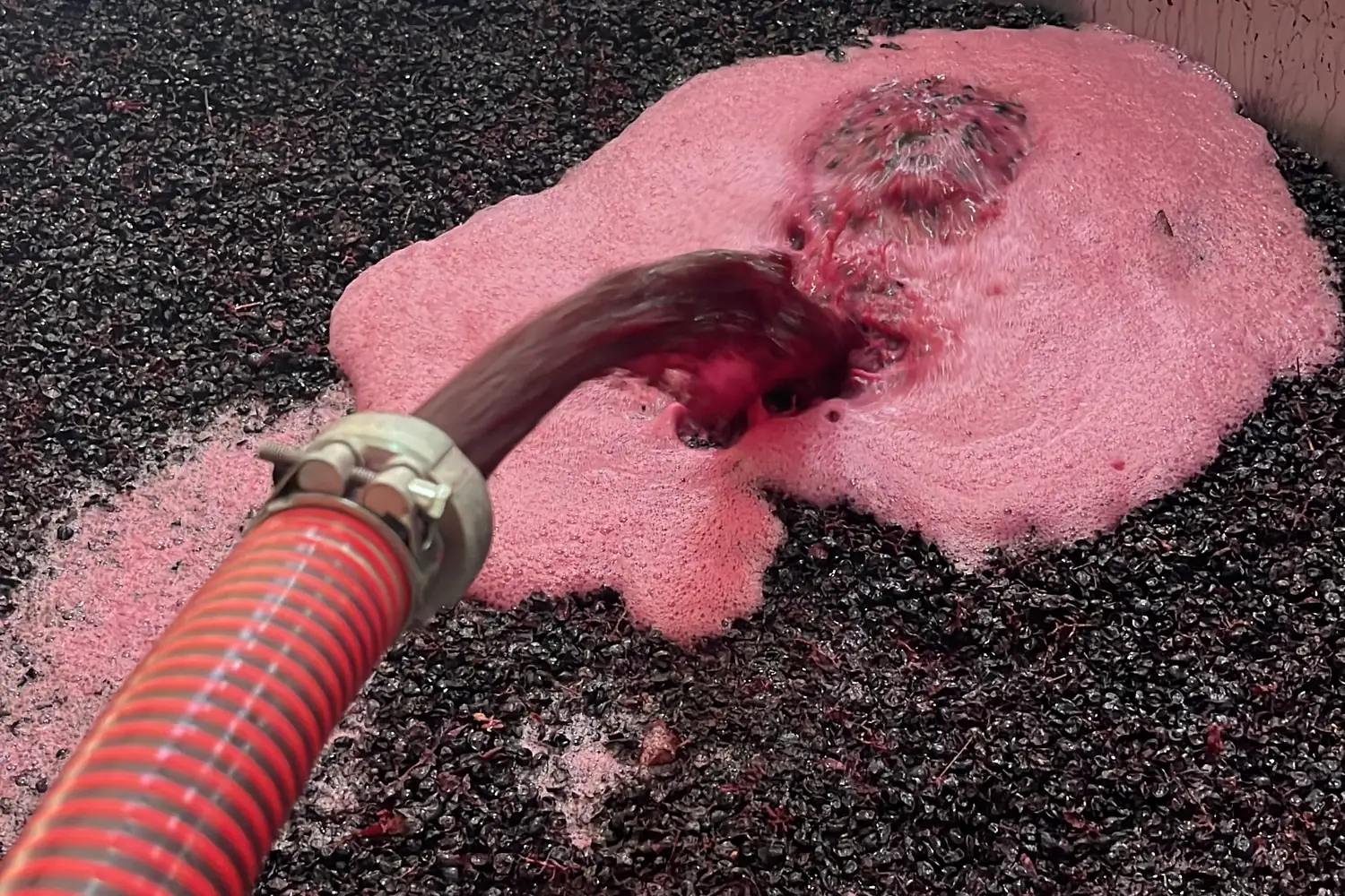 Must pumped over the skins during red-wine fermentation