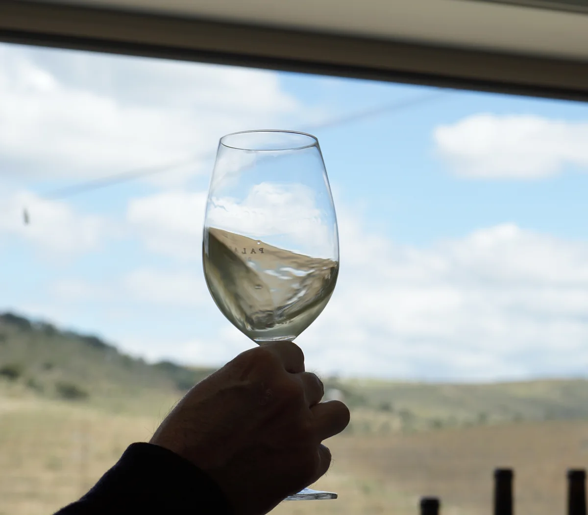 Taça de branco junto à janela, com a vinha ao fundo
